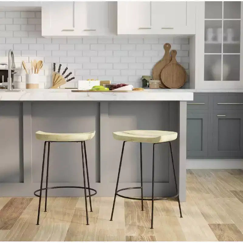 Carolina Living Set of 2 24.5 Bryson Counter Height Barstool