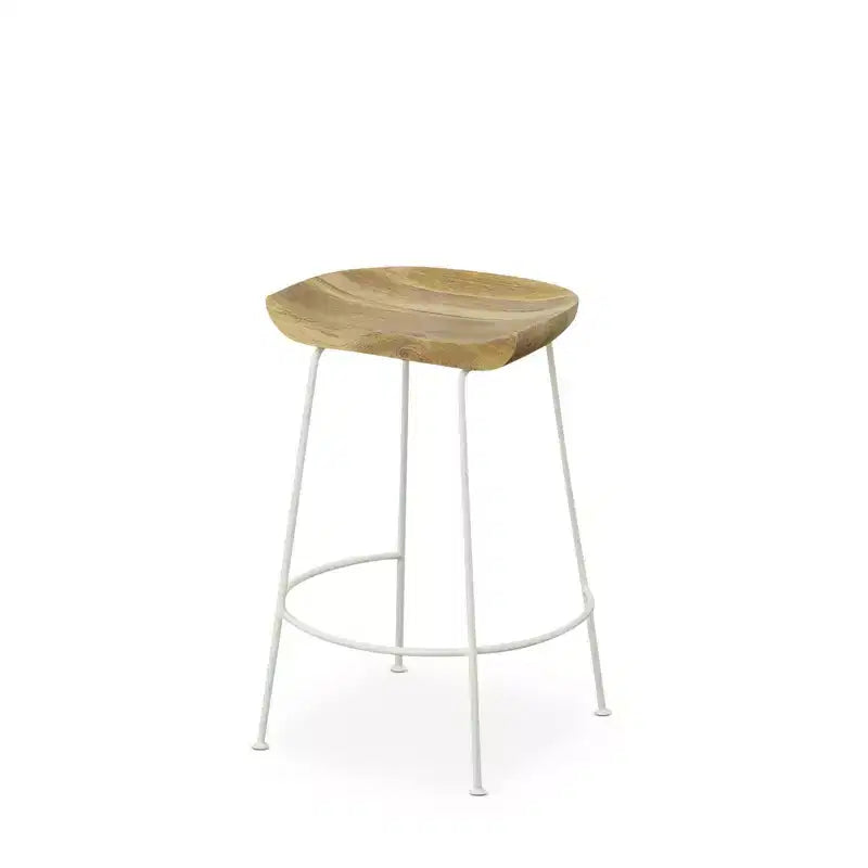 Carolina Living Set of 2 24.5 Bryson Counter Height Barstool