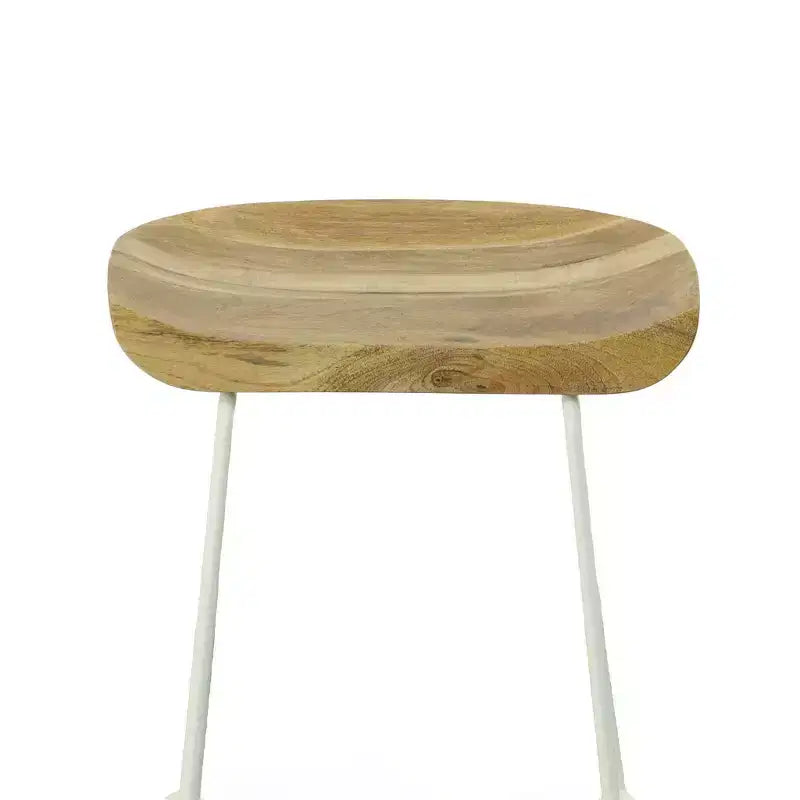 Carolina Living Set of 2 24.5 Bryson Counter Height Barstool