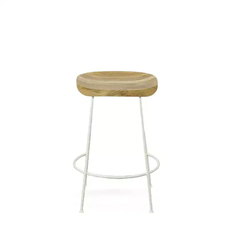 Carolina Living Set of 2 24.5 Bryson Counter Height Barstool