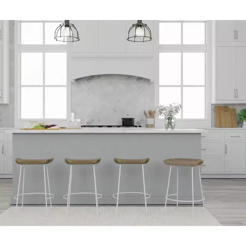 Carolina Living Set of 2 24.5 Bryson Counter Height Barstool