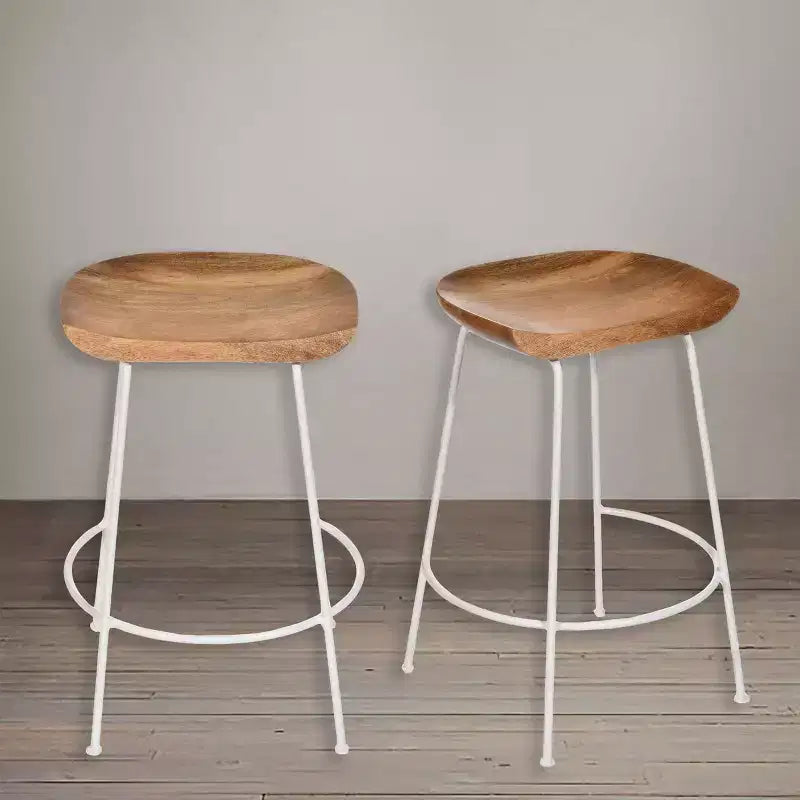 Carolina Living Set of 2 24.5 Bryson Counter Height Barstool