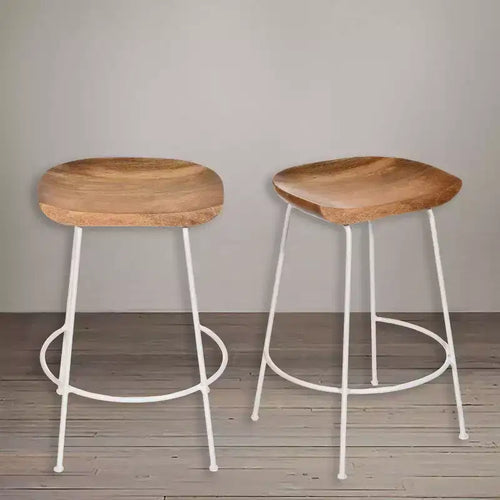 Carolina Living Set of 2 24.5 Bryson Counter Height Barstool