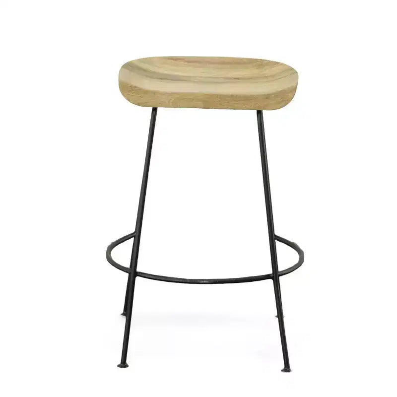 Carolina Living Set of 2 24.5 Bryson Counter Height Barstool