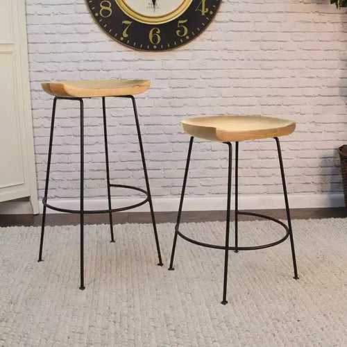 Carolina Living Set of 2 24.5 Bryson Counter Height Barstool